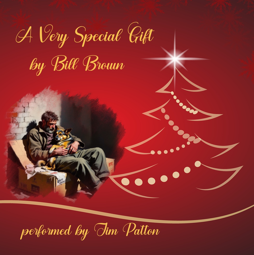 A Very Special Gift audiobook