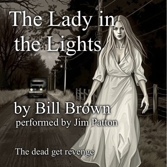 The Lady in the Lights (audiobook)
