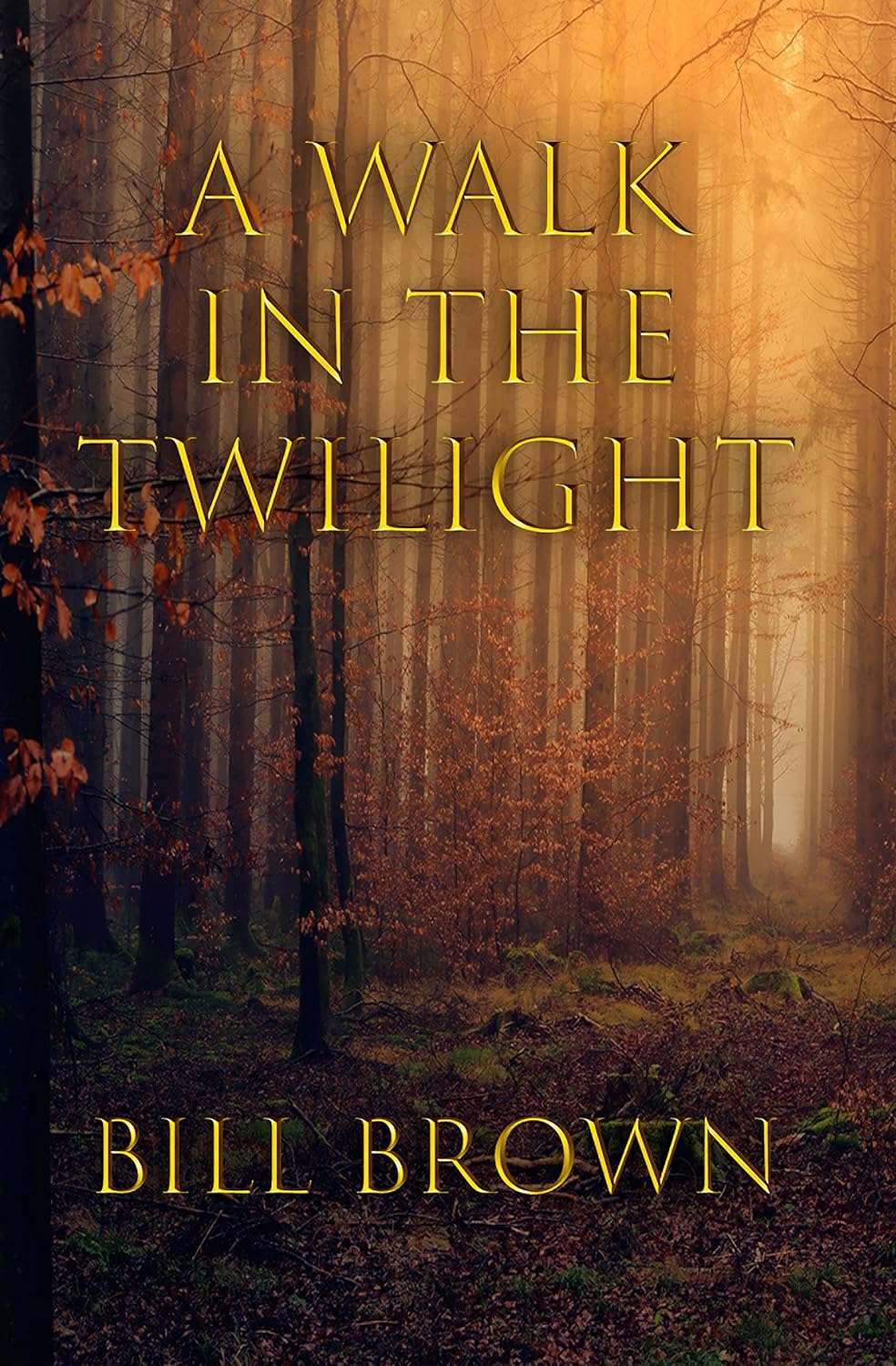 A Walk in the Twilight